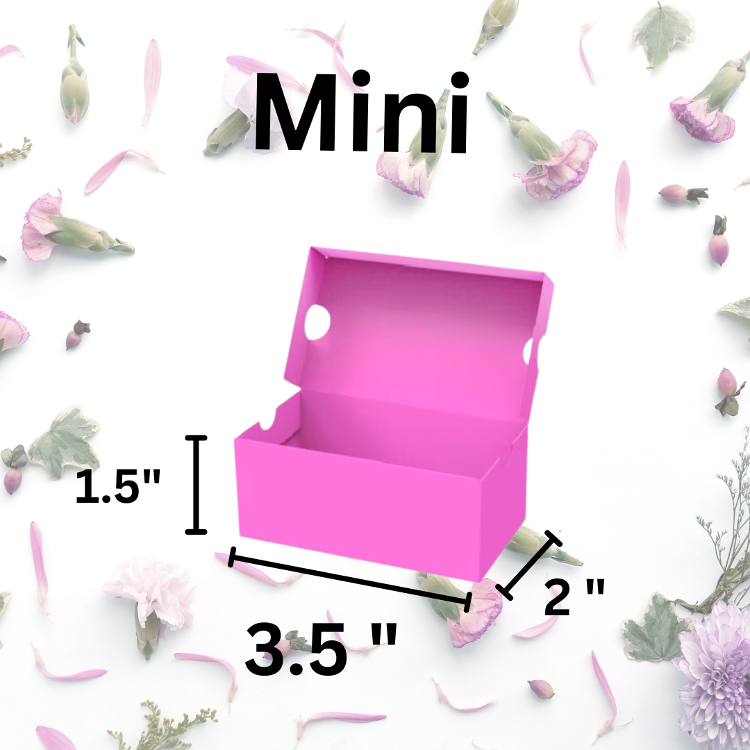 Sneaker/Shoe - Favor Box