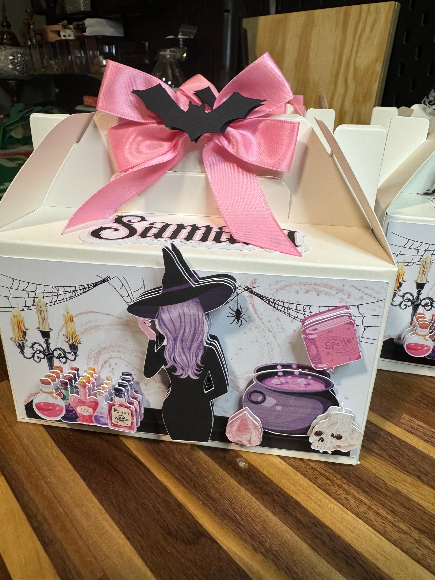 Spooky in Pink Witch- Gable box