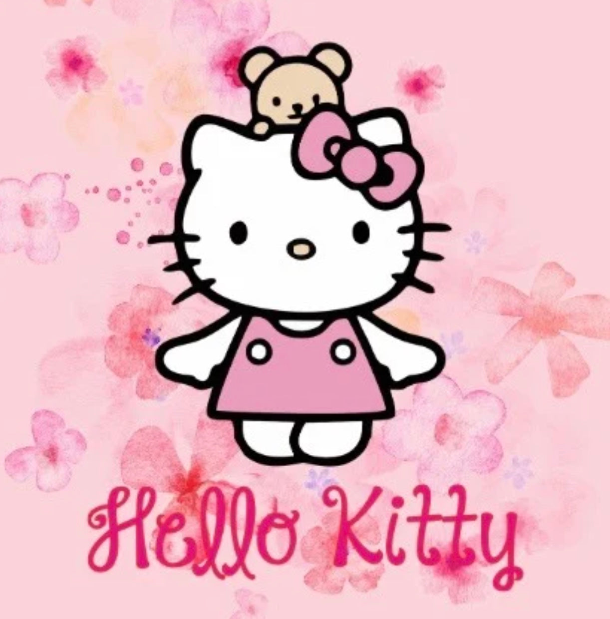 Hello Kitty Collection